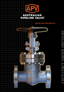 APV Corporate brochure preview