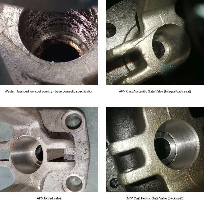 apv cast gate valve seal