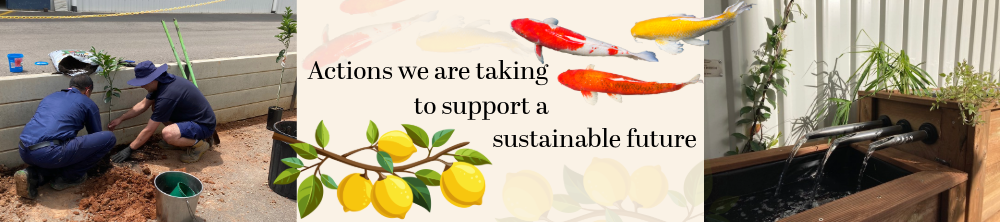 Actions we are taking to support a sustainable future